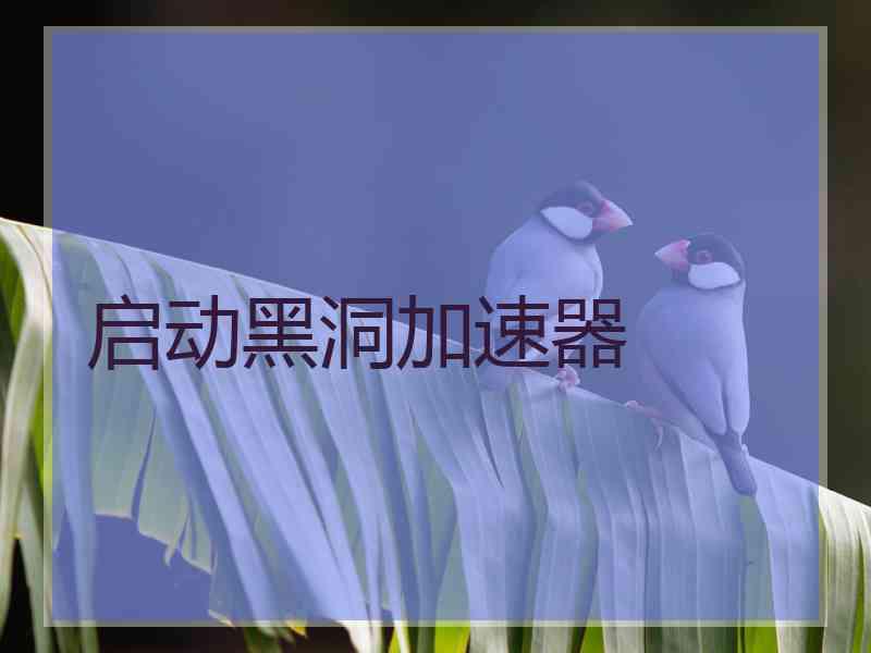启动黑洞加速器