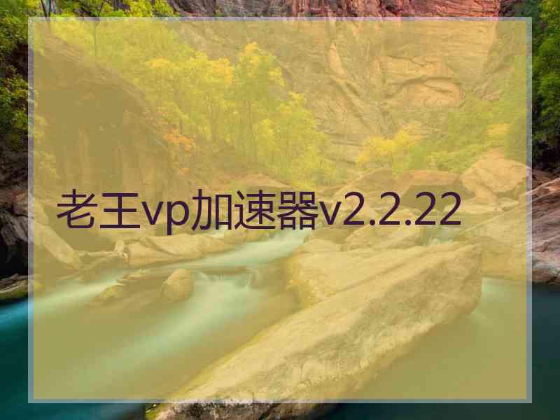 老王vp加速器v2.2.22