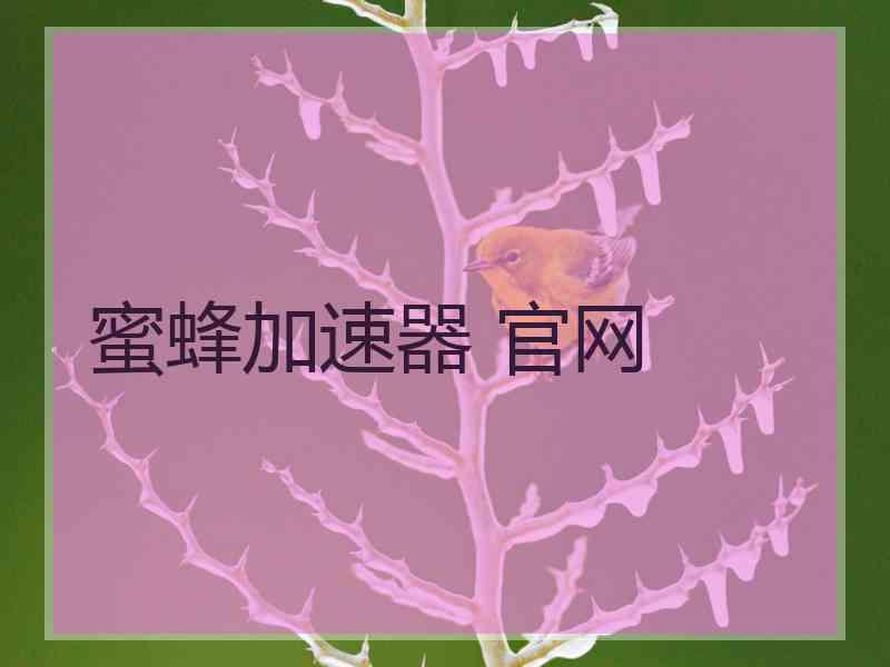 蜜蜂加速器 官网