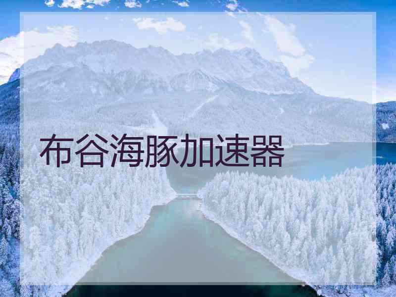 布谷海豚加速器