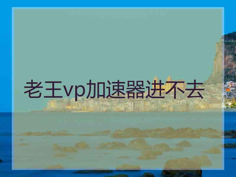 老王vp加速器进不去