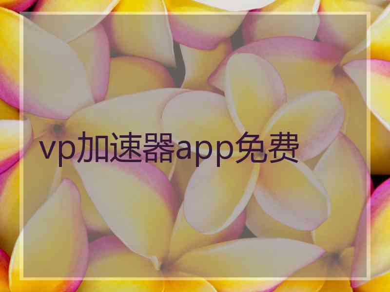vp加速器app免费