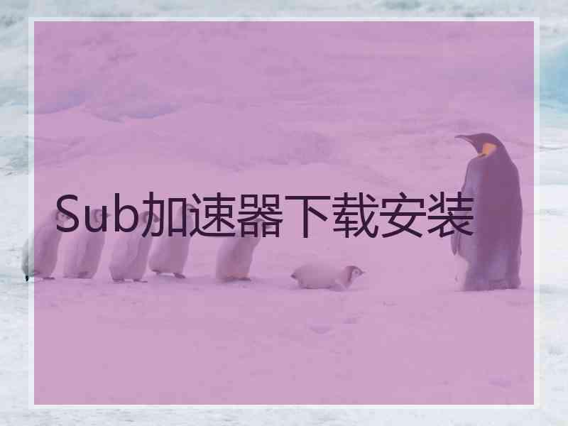 Sub加速器下载安装