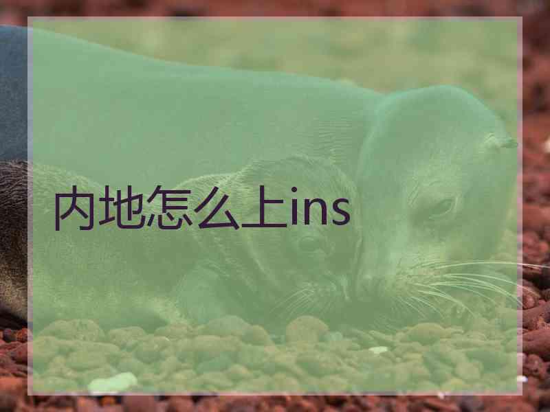 内地怎么上ins