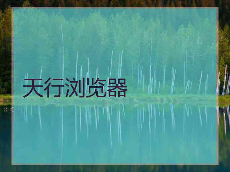 天行浏览器