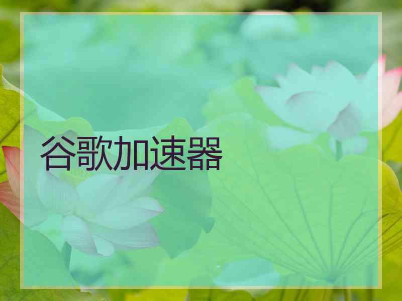 谷歌加速器