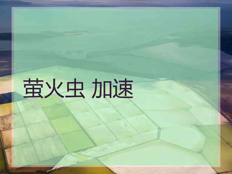 萤火虫 加速