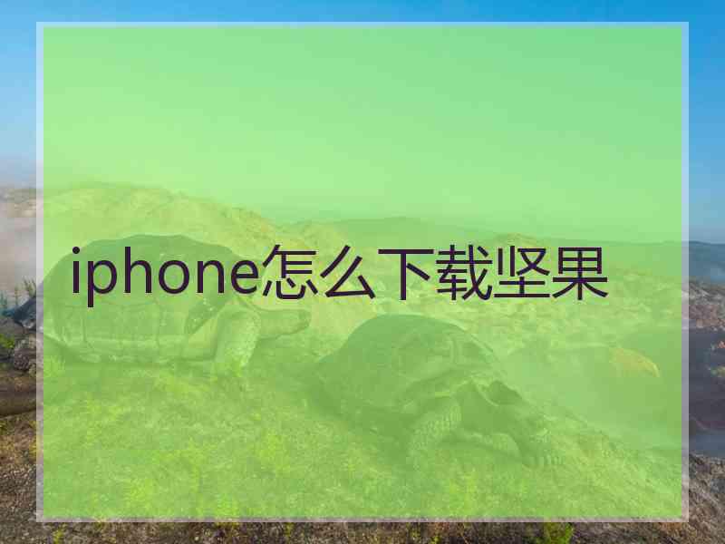 iphone怎么下载坚果