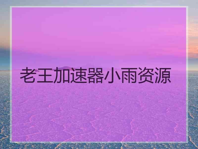 老王加速器小雨资源
