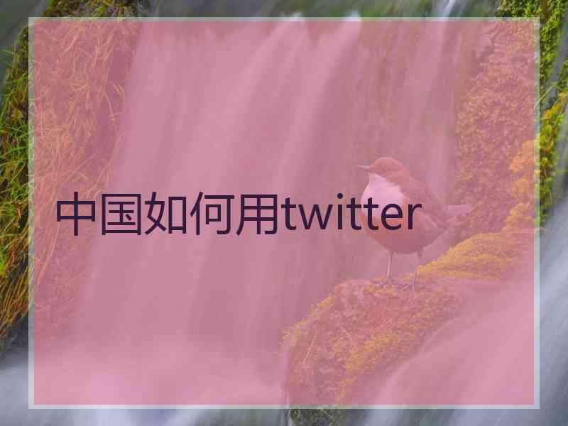 中国如何用twitter