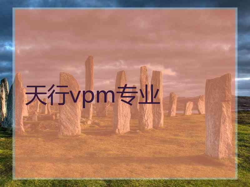 天行vpm专业