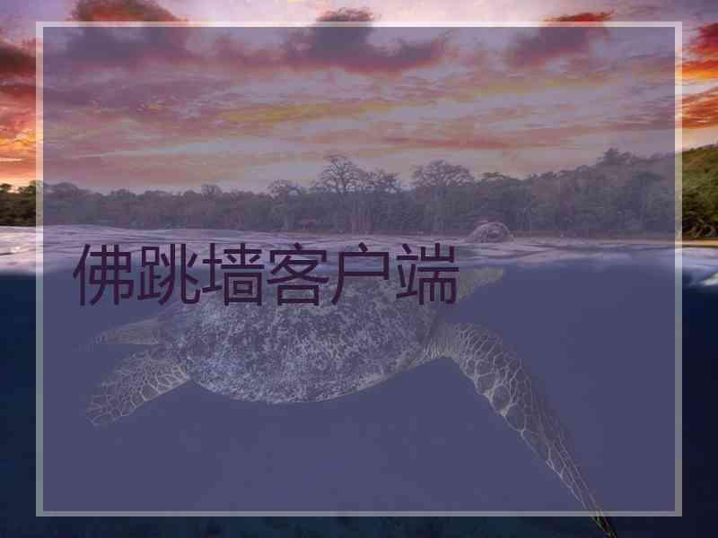 佛跳墙客户端