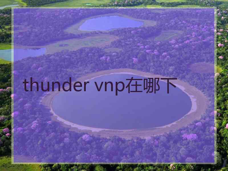 thunder vnp在哪下