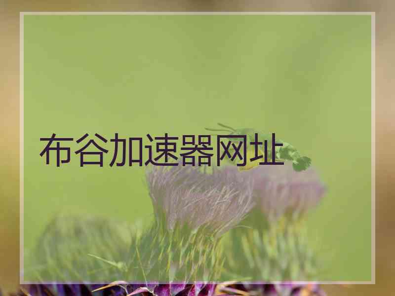 布谷加速器网址