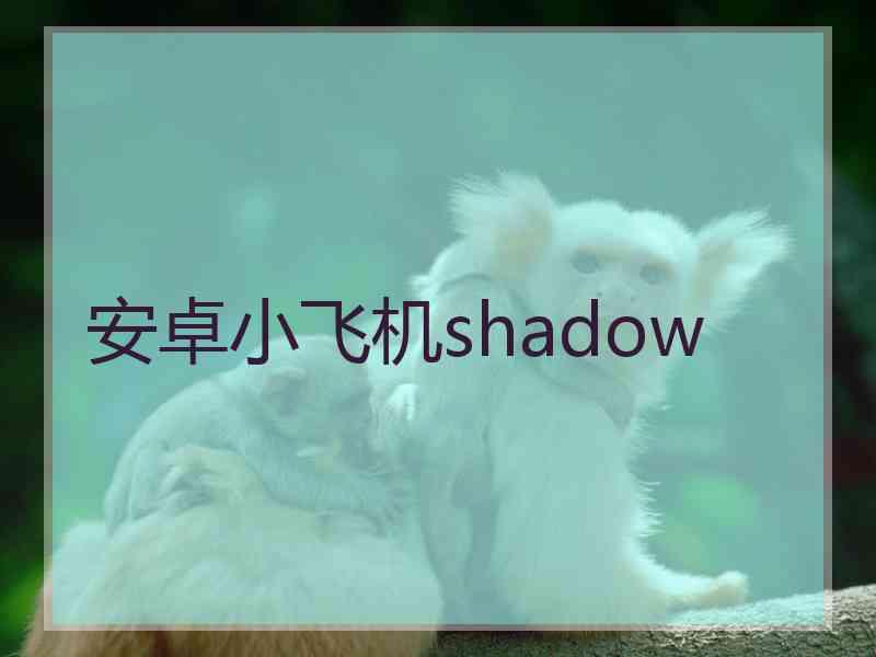 安卓小飞机shadow