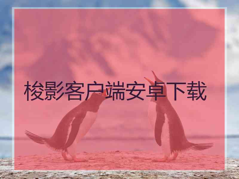 梭影客户端安卓下载