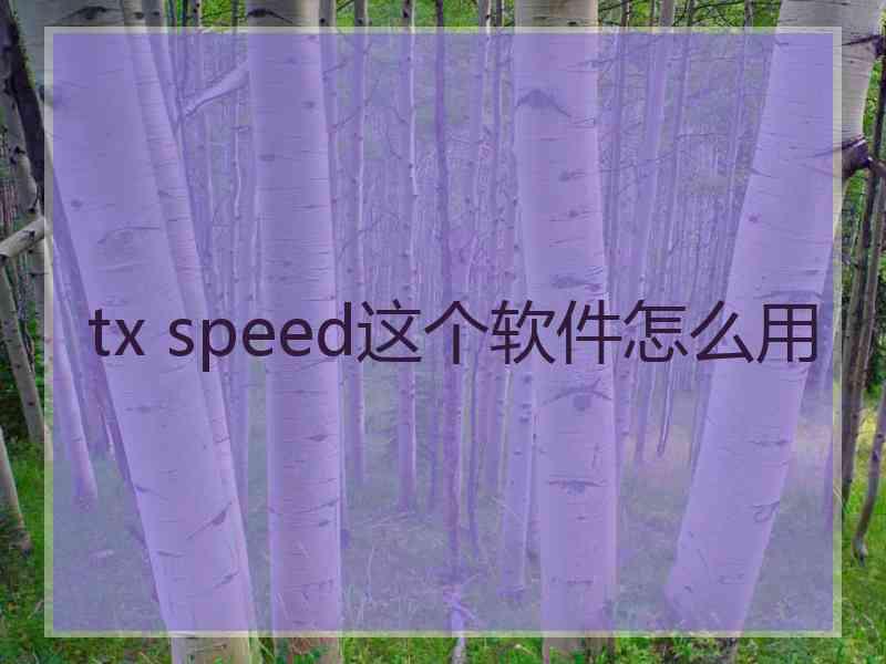 tx speed这个软件怎么用
