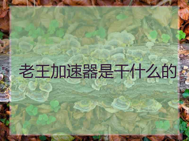 老王加速器是干什么的