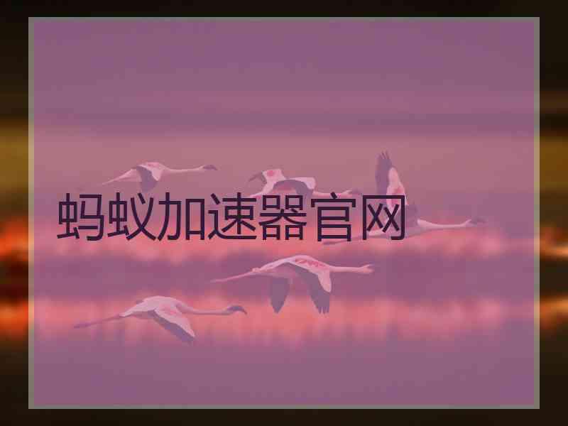 蚂蚁加速器官网