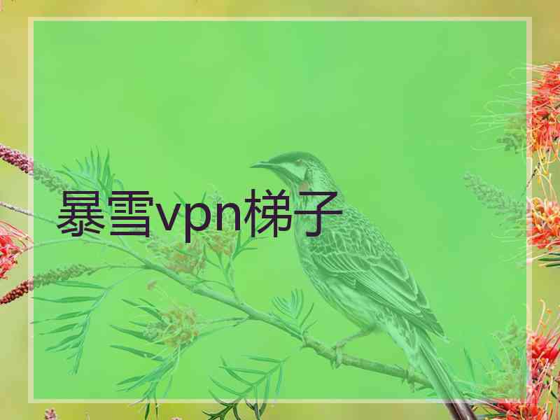 暴雪vpn梯子