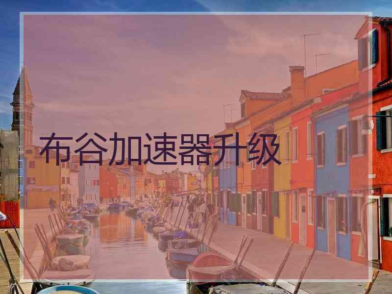 布谷加速器升级