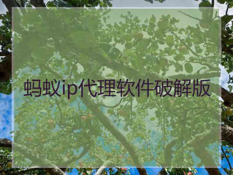 蚂蚁ip代理软件破解版