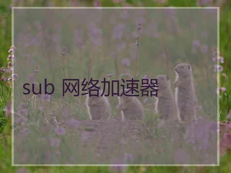 sub 网络加速器