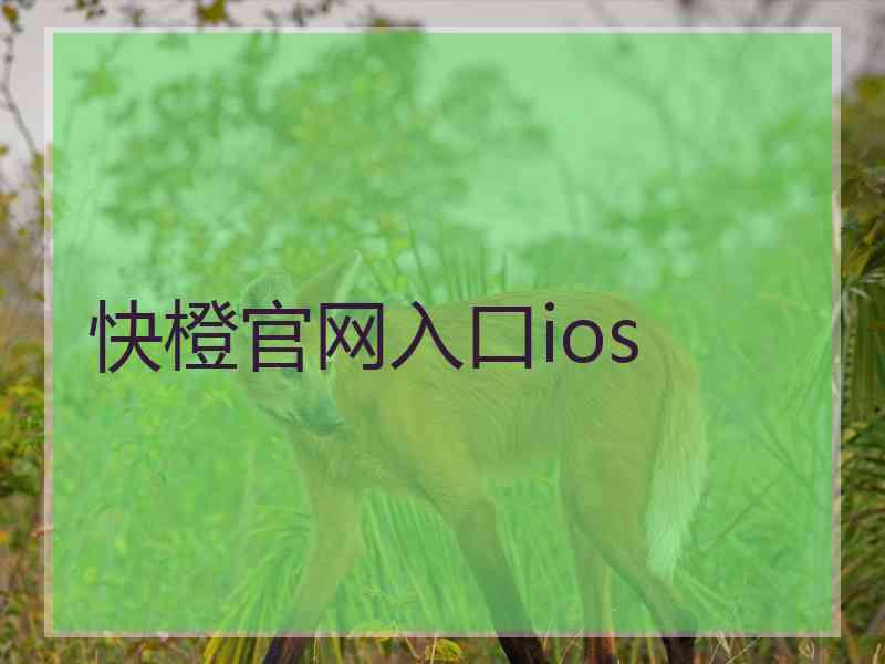 快橙官网入口ios
