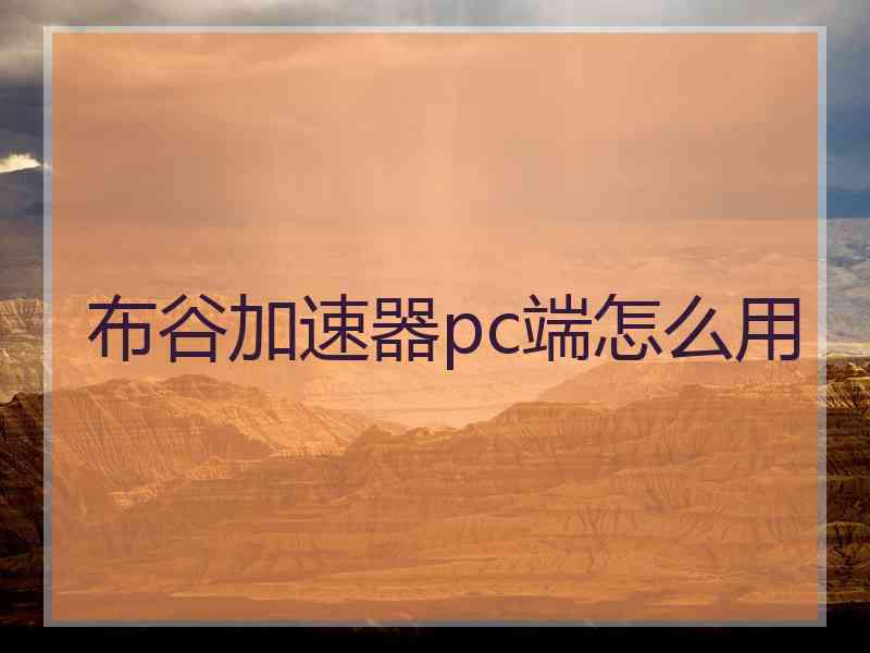 布谷加速器pc端怎么用