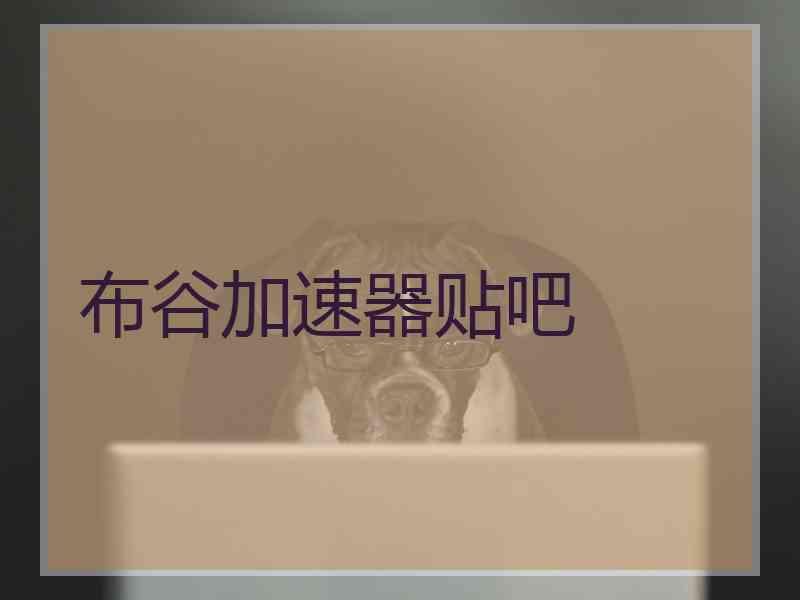 布谷加速器贴吧