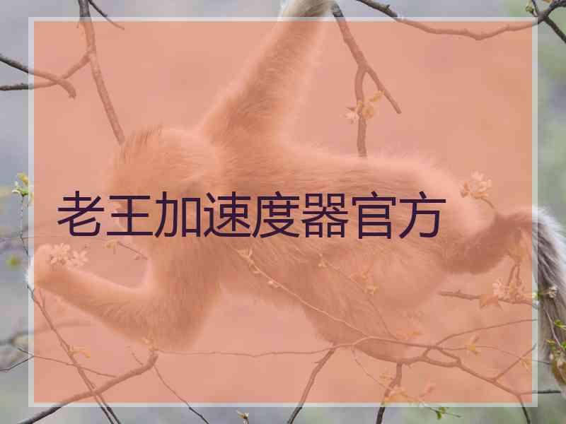 老王加速度器官方