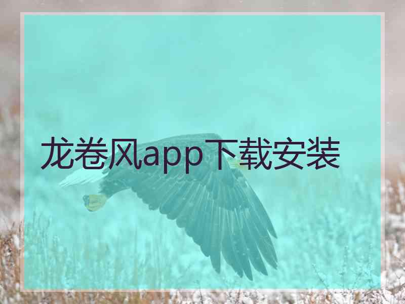 龙卷风app下载安装