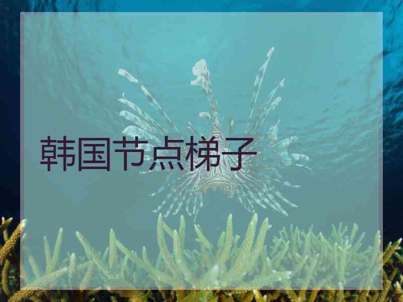 韩国节点梯子