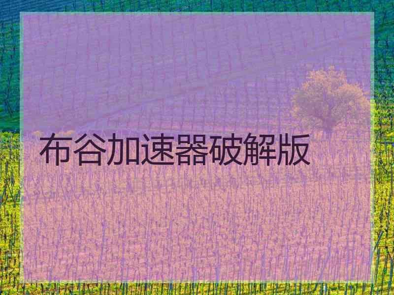 布谷加速器破解版