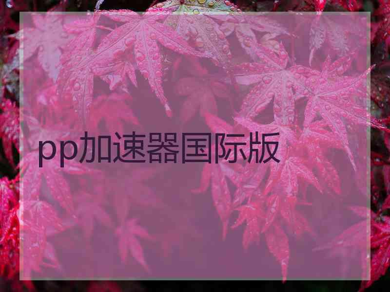 pp加速器国际版