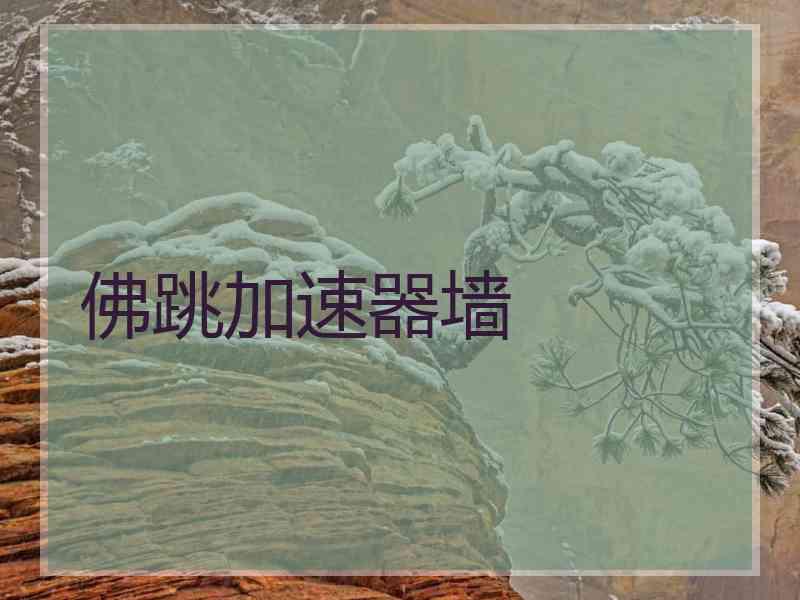 佛跳加速器墙