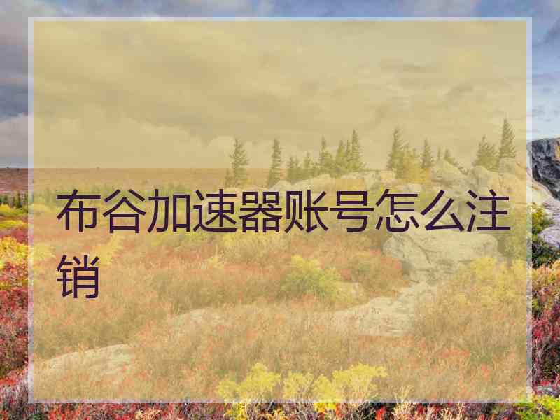布谷加速器账号怎么注销