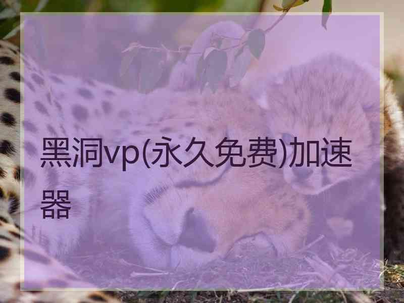 黑洞vp(永久免费)加速器
