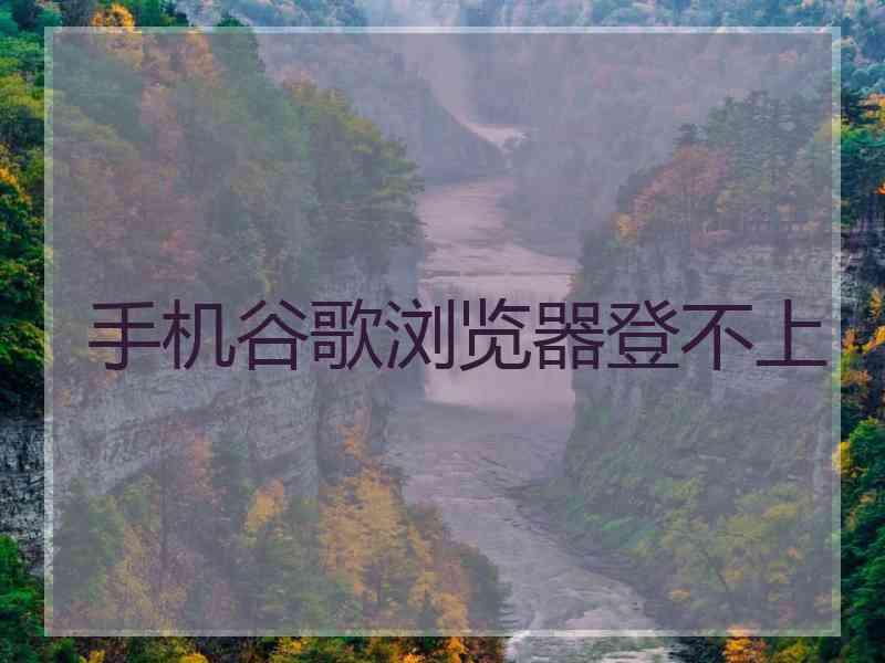 手机谷歌浏览器登不上