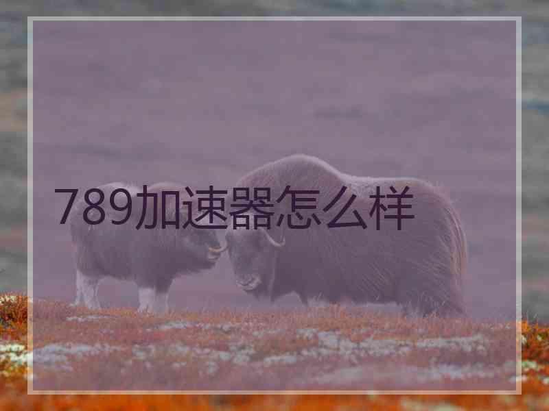789加速器怎么样
