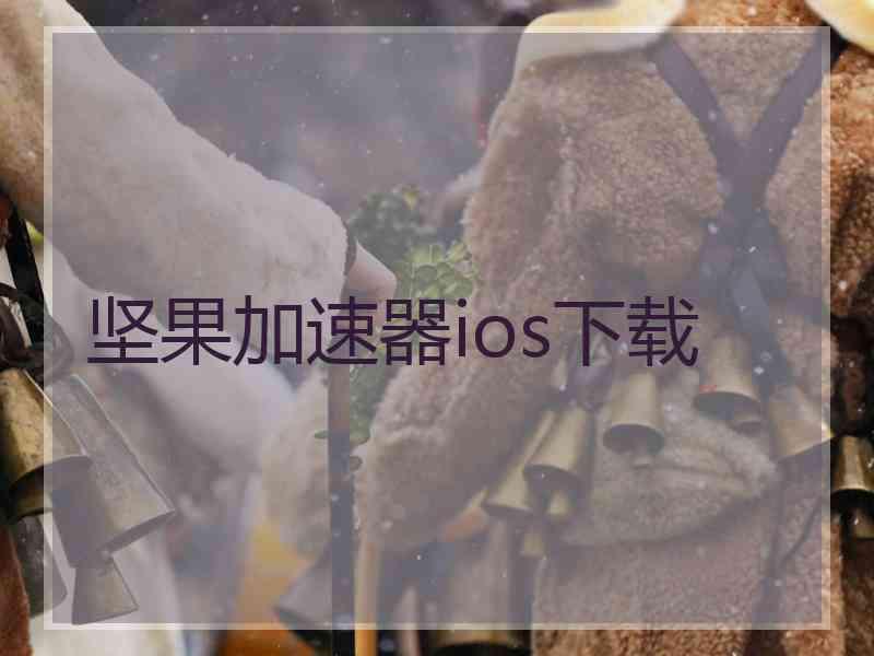 坚果加速器ios下载
